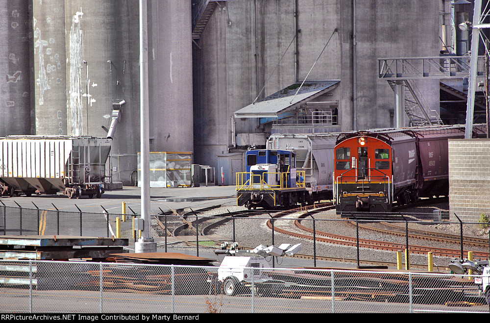 Great Western Malting